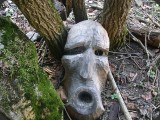 "Magische Maske" Fichte 1996, aus Natur gestohlen ...