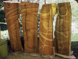 "Sichtschutz" Sequoia (Schweiz) 2003, Privatbesitz