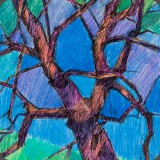 Baum in Joucas, Tuschefeder/Farbstift, 91, 21x23