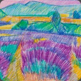 Provence Lavendel, Farbstift, 91, 26x19