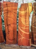 Sichtschutz Sequoia