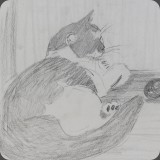 Katze, Bleistift, 81, 26x23