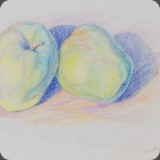 Zwei Äpfel, Farbstift, 85, 28x22