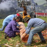 Gemeinsam gehts leicht