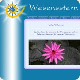 Wesensstern (inzwischen geändert)