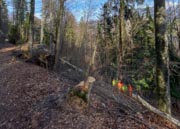IMG_0365-Bearbeitet