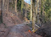 IMG_0368-Bearbeitet